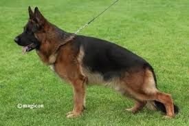 Unam de la Petite Laeticia