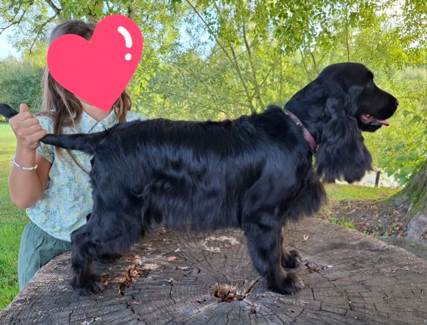 Ukki Du pré moussey