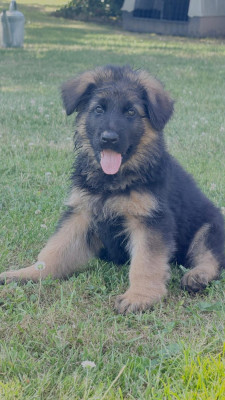 BAXTER